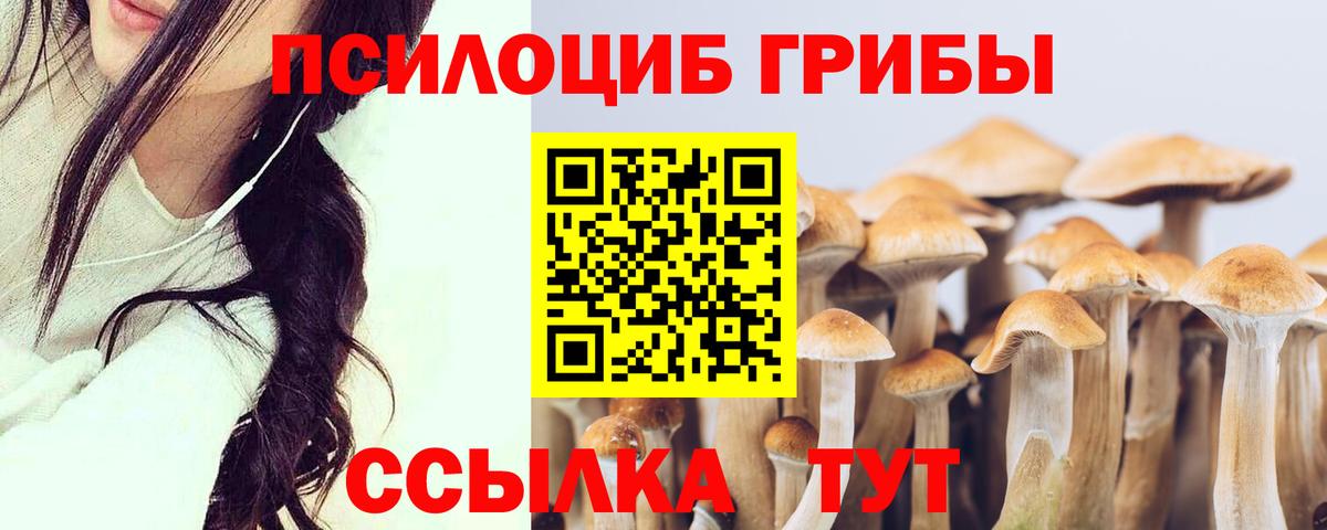 Галлюциногенные грибы прущие грибы  Галлюциногенные грибы Psilocybine cubensis  Вход с VPN  Владикавказ 